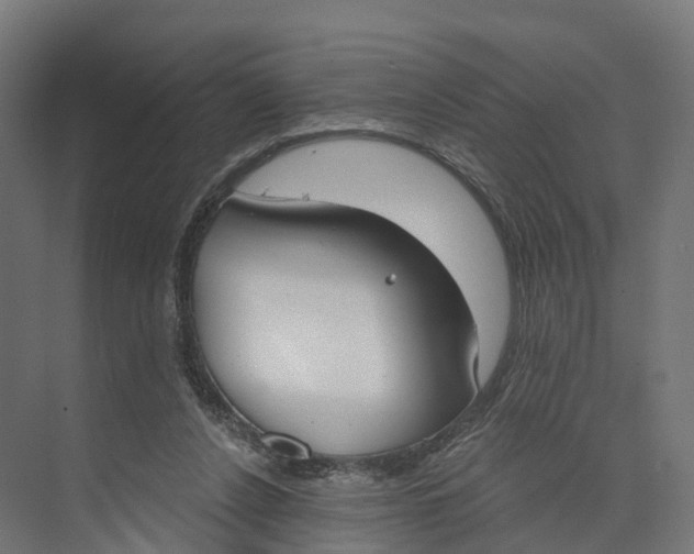 X0000073970256200609111749