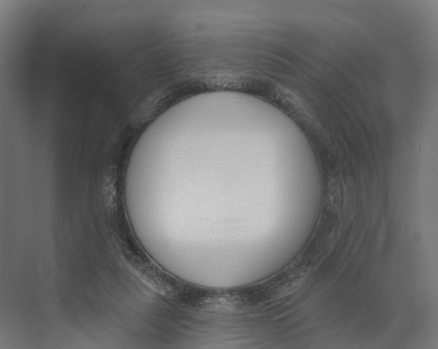 X0000073970259200609111749