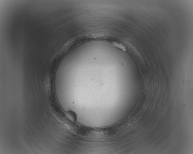 X0000073970260200609111749