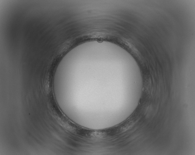 X0000073970261200609111749