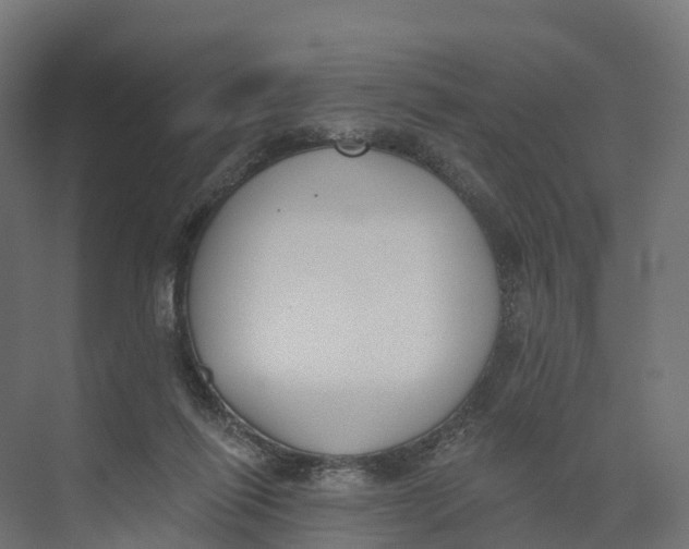 X0000073970262200609111749