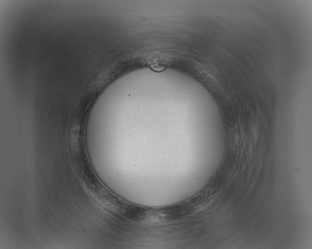 X0000073970263200609111749