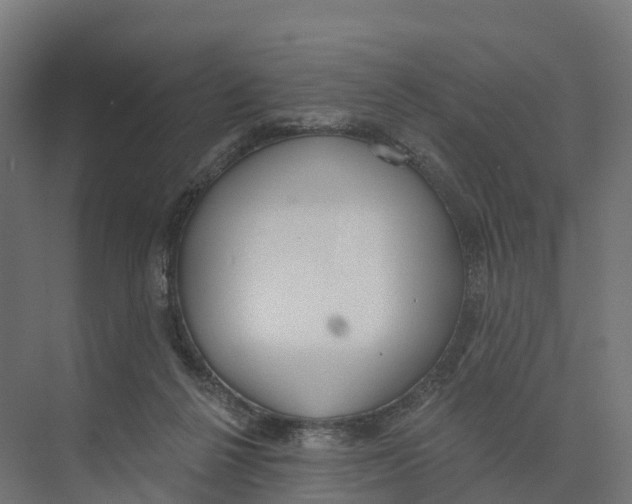 X0000073970264200609111749