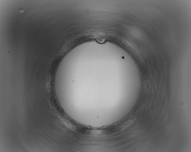 X0000073970265200609111749