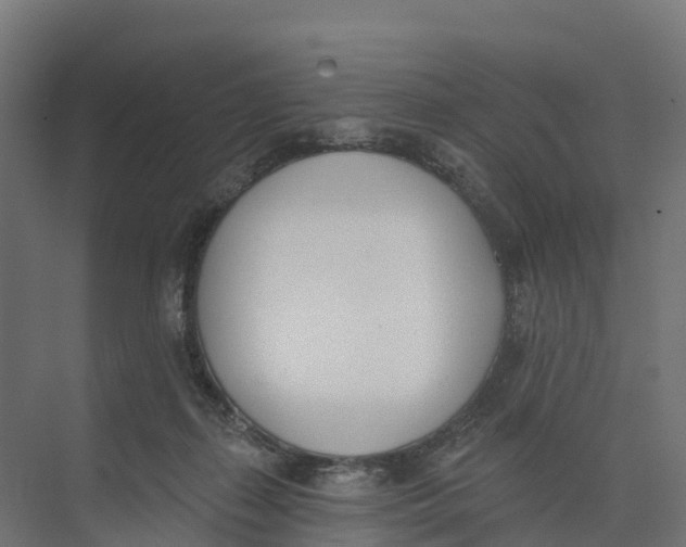 X0000073970267200609111749