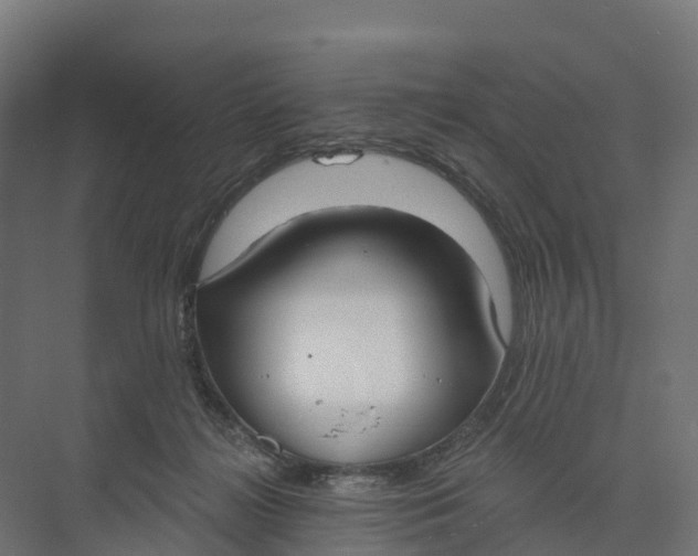 X0000073970268200609111749