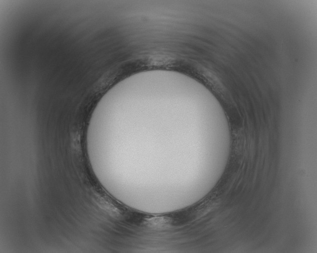 X0000073970269200609111750