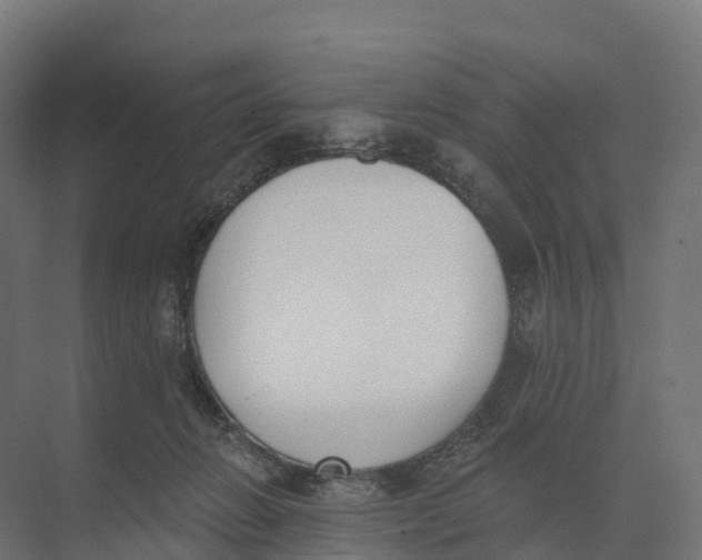 X0000073970270200609111750