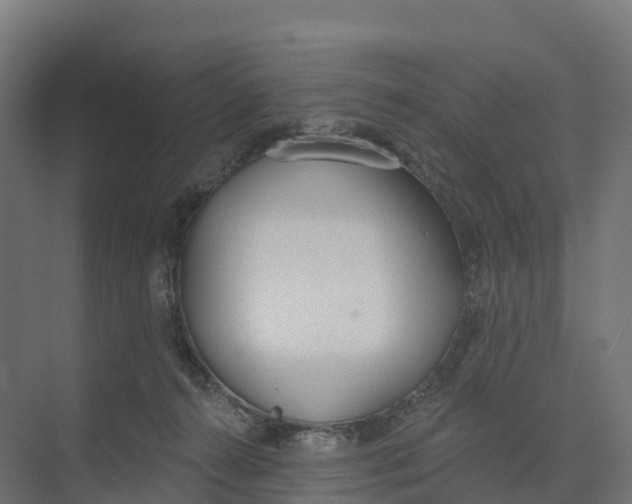 X0000073970272200609111750