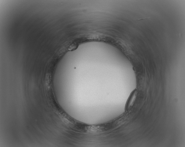 X0000073970273200609111750