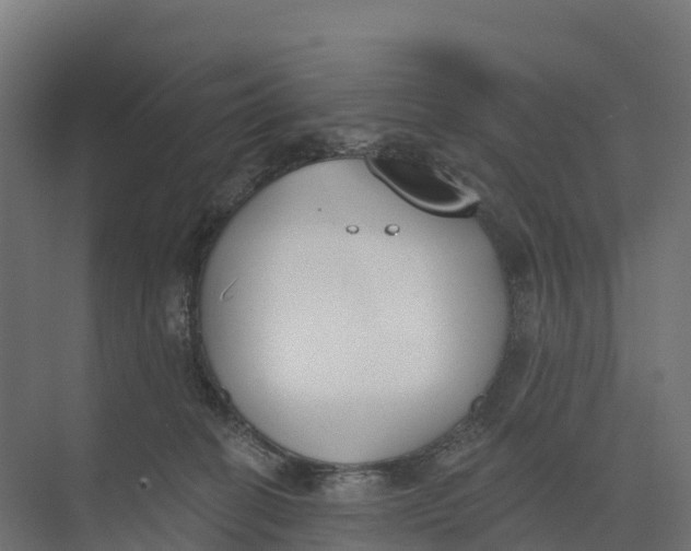 X0000073970274200609111750