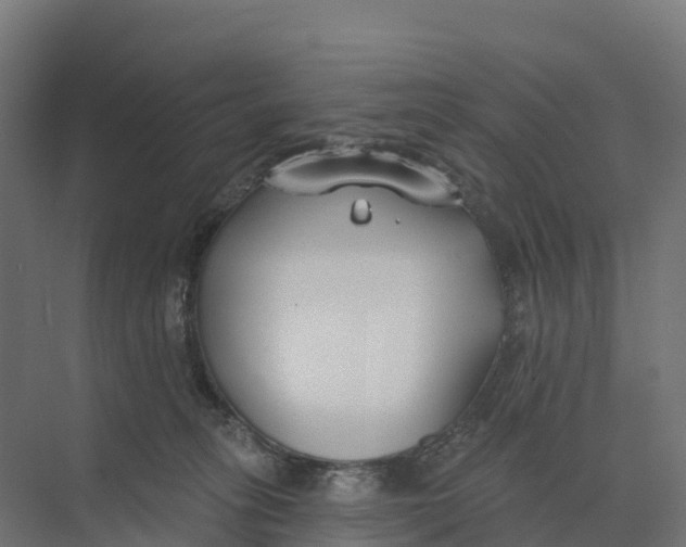 X0000073970275200609111750