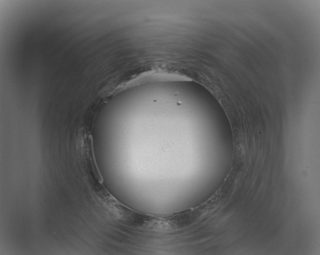 X0000073970276200609111750