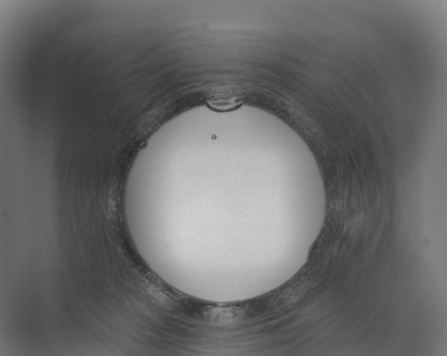 X0000073970277200609111750