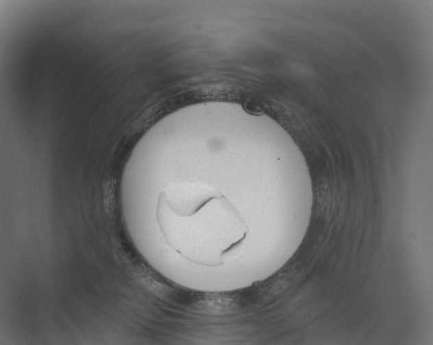 X0000073970278200609111750