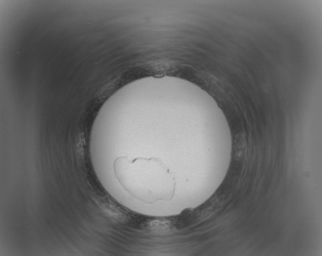 X0000073970279200609111750