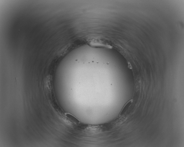 X0000073970280200609111750