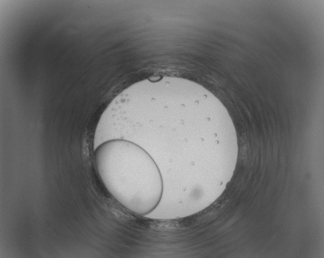 X0000073970282200609111750