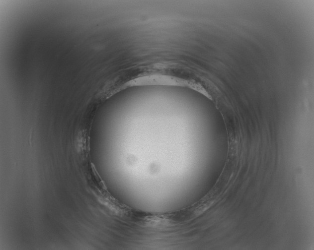 X0000073970284200609111750