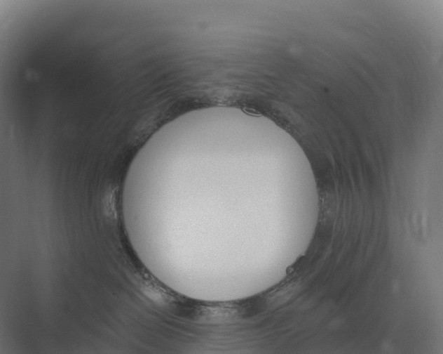 X0000073970286200609111750