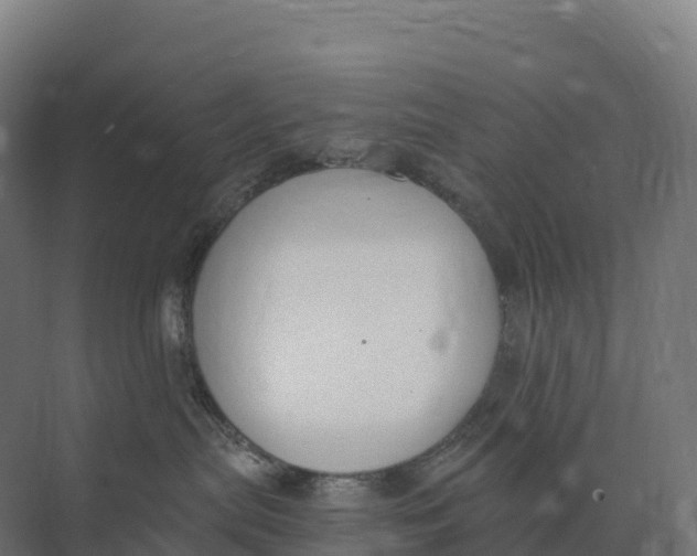 X0000073970287200609111750