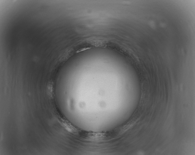 X0000073970288200609111750