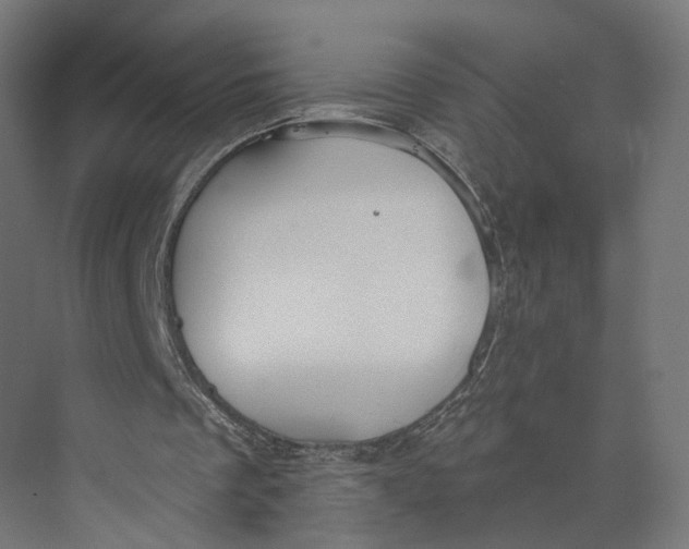 X0000073970289200609111749