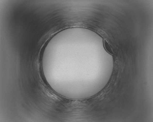 X0000073970290200609111749