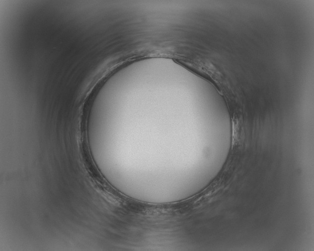 X0000073970291200609111749