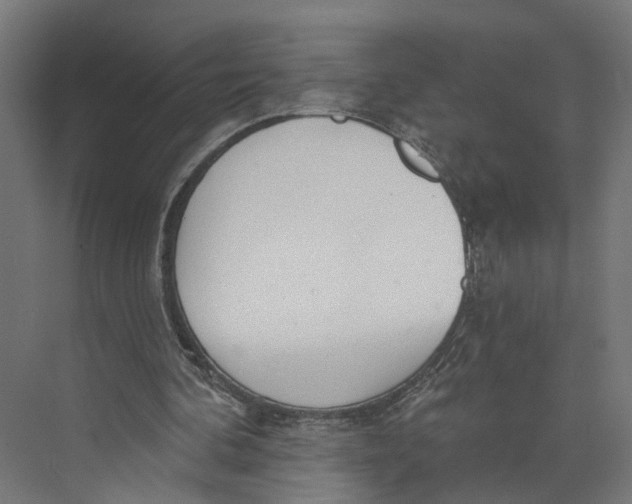 X0000073970292200609111749