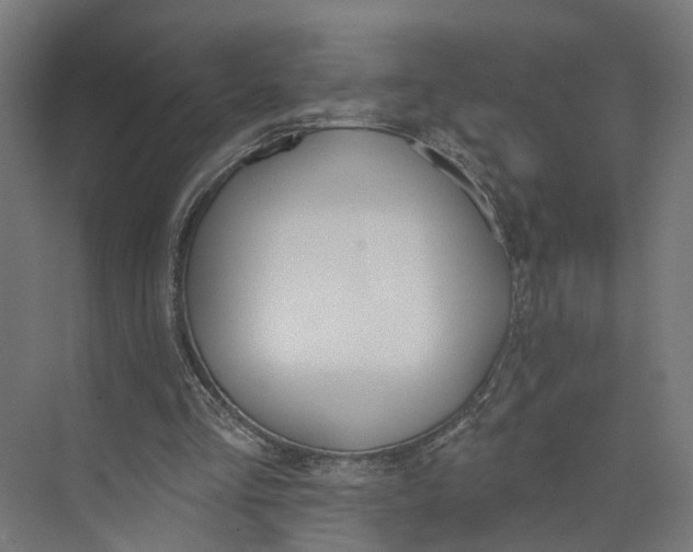 X0000073970293200609111749