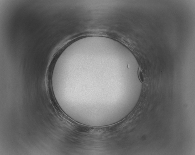 X0000073970294200609111749