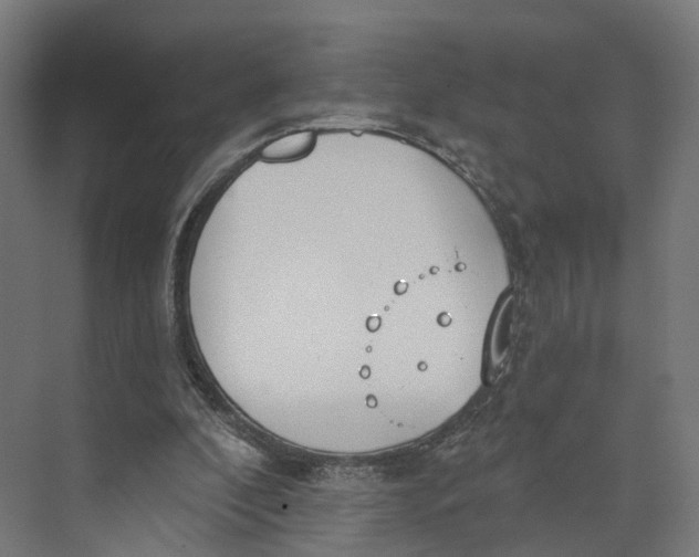 X0000073970296200609111749