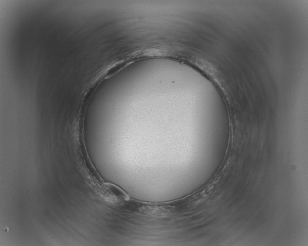 X0000073970297200609111749