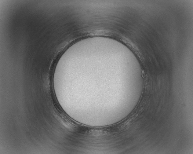 X0000073970298200609111749