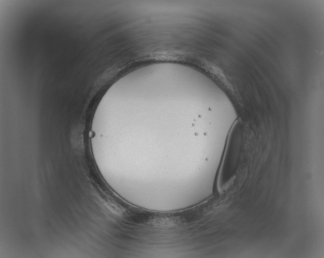 X0000073970299200609111749