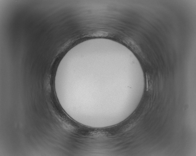 X0000073970300200609111749