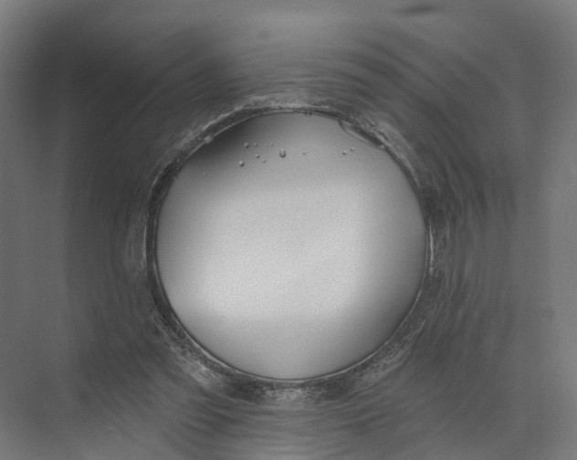 X0000073970301200609111749