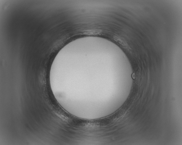 X0000073970303200609111749