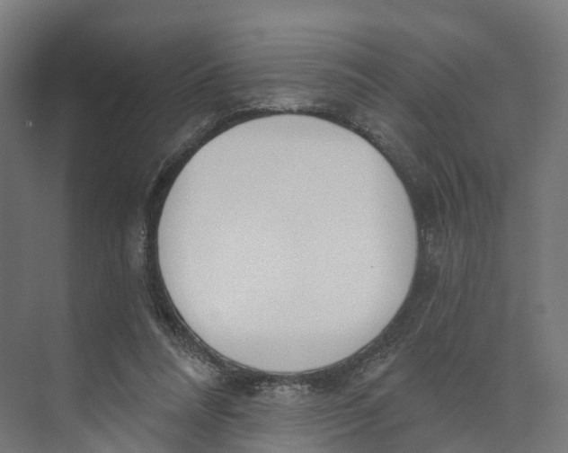 X0000073970304200609111749