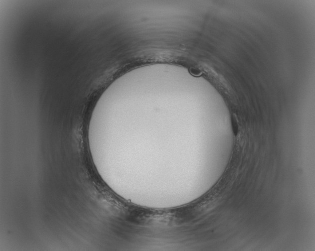 X0000073970306200609111749