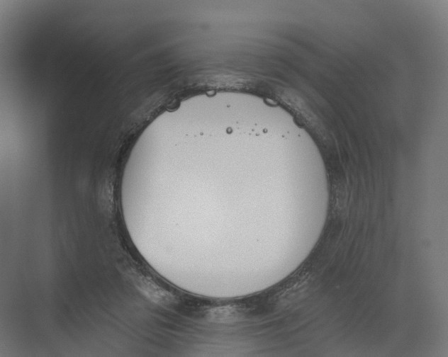 X0000073970309200609111749