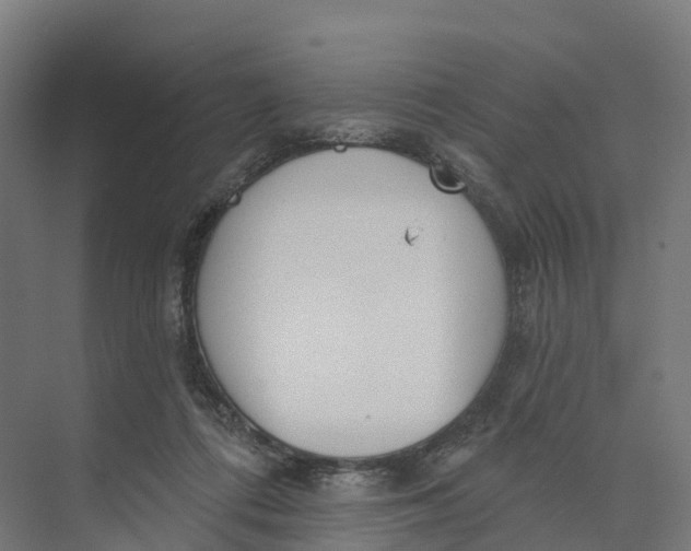 X0000073970312200609111749