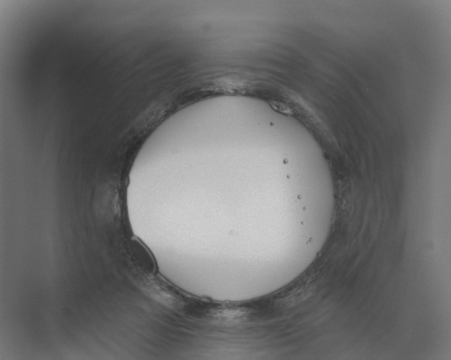 X0000073970313200609111749