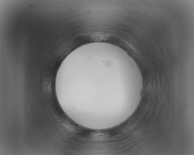 X0000073970315200609111749