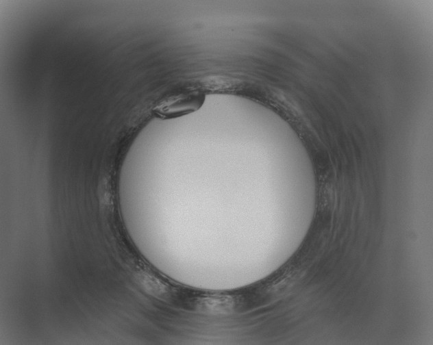 X0000073970317200609111749