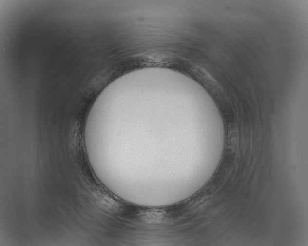 X0000073970318200609111749