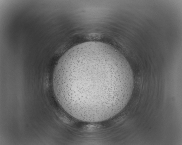 X0000073970323200609111748