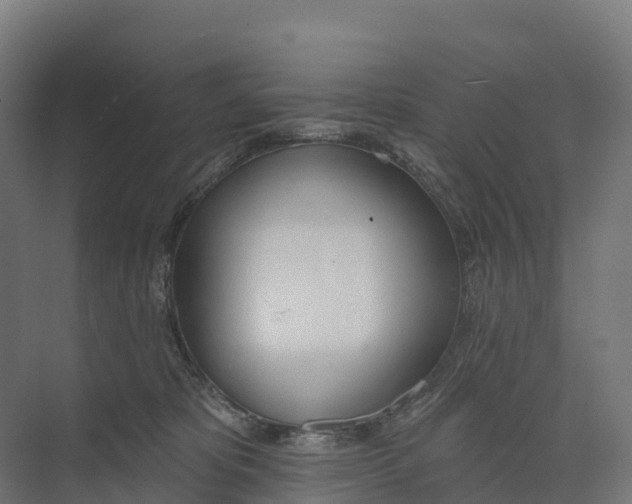 X0000073970325200609111748