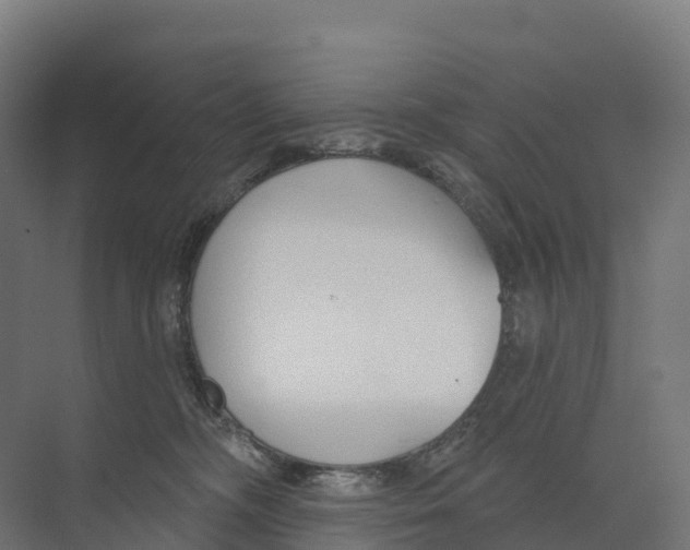 X0000073970326200609111748